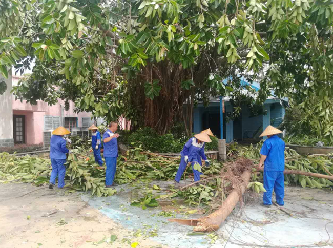 臺風(fēng)「天鴿」來襲集團企業(yè)及時行動防災(zāi)救災(zāi)（圖）