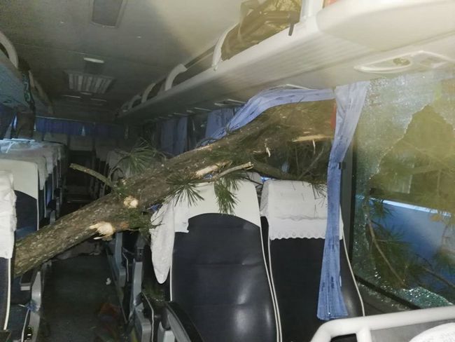 一個都不能少——國旅四川公司導(dǎo)遊董一平帶領(lǐng)遊客脫險側(cè)記（圖）